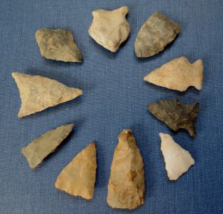 GROUP of 10 INDIAN BIRD POINT ARROWHEADS - Lancaster Co.  PA 3