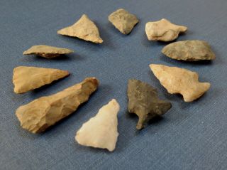 GROUP of 10 INDIAN BIRD POINT ARROWHEADS - Lancaster Co.  PA 4