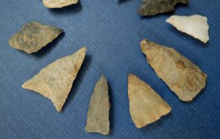GROUP of 10 INDIAN BIRD POINT ARROWHEADS - Lancaster Co.  PA 6