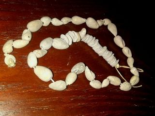 13 " Strand Of Chumash Shell Beads Santa Barbara Co Ca Authentic