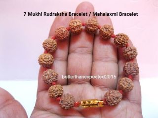 7 Mukhi Rudraksha / Seven Face Rudraksh / Mahalaxmi Bracelet - Java - 14 Beads