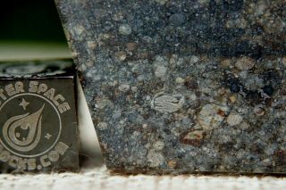 Nwa 7122 L4 Chondrite Meteorite 5.  1 Gram Part Slice With Very Rare Aoa Chondrule