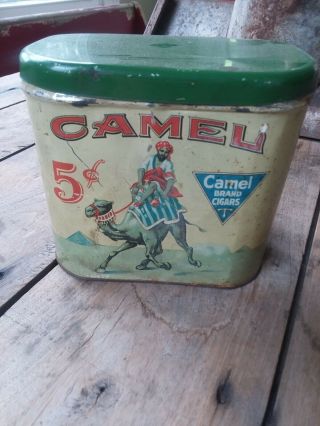 Camel 5 Cent Cigar Tobacco Tin Antique Advertising American Can Box Sign