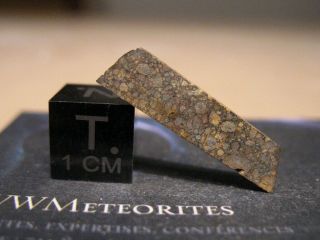 Meteorite Nwa 11752 - Very Primitive Chondrite : Ll30.  5 (one Of The Only Four)