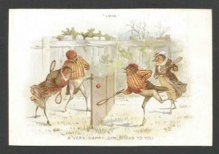 Z42 - Anthropomorphic Robins - Robert Dudley - Victorian Castell Bros Xmas Card