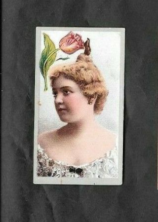 A.  T.  C.  1900 Scarce (beauties) Card ง " Beauties - Flower Inset - - Tulip "