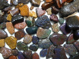Lapidary Hobby: 585 Carat Parcel Of Winton Fairy Opal Rough Chips.  Matrix Opal