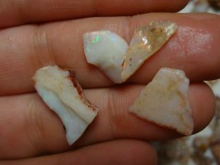 525 carats of Natural Coober Pedy Rough Opal.  Lapidary use,  opal cutting, 4