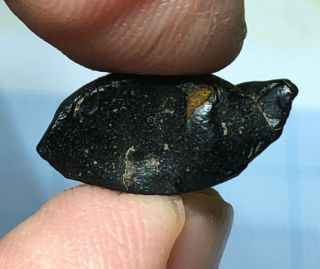 Australite 19: Australian Tektite From Meteorite Impact,  Button Frag Rim & Wave