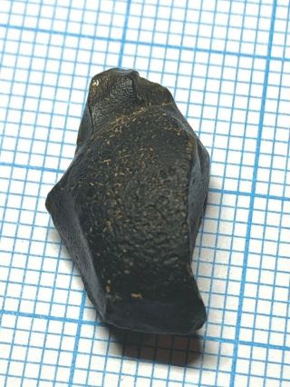 Australite 19: Australian tektite from meteorite impact,  Button Frag Rim & Wave 5