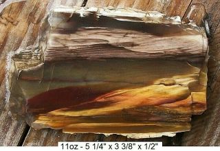 Hubbard Basin Rare Colors Agatized Petrified Wood Plank Cut Slab - Gorgeous