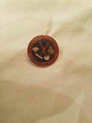 Vintage Crater Of The Diamonds National Park Pin