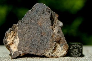 Al Haggounia 001 El3 Fossil Meteorite 53.  8 Grams Enstatite Low Metal Chondrite