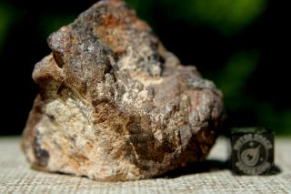 Al Haggounia 001 EL3 Fossil Meteorite 53.  8 grams Enstatite Low Metal Chondrite 2