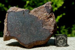 Nwa Unclassified Meteorite 66.  1 Grams Windowed With Some Metal Specks