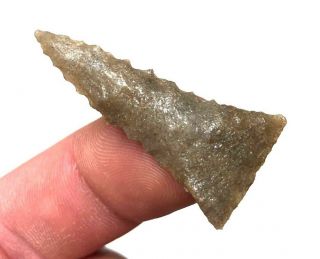 Exceptional Madison Point St.  Clair Co. ,  Il.  Authentic Arrowhead Artifact Ml2