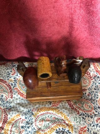 Pipe Rack And Pipes Missouri Meerschaum Corn Pipe,  Brier Animal 2 Kandp
