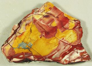 Mescalero Jasper.  Wildly Chaotic Multi - Colored Abstract Pattern.