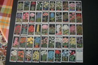 Cigarette Tobacco Cards Complete Set Of 50 Wills Flower Culture In Pots 1925