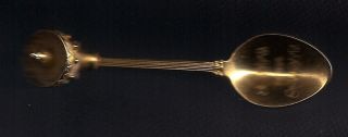 South Of The Border 22 Ct Finish Spoon