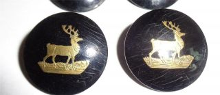 RARE ANTIQUE BUTTONS FOX HUNTING HORN GILT INLAY FOX STAG HOUNDS INGRAM PATENT 3