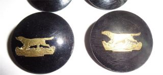 RARE ANTIQUE BUTTONS FOX HUNTING HORN GILT INLAY FOX STAG HOUNDS INGRAM PATENT 4