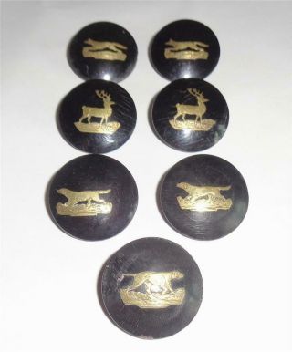 RARE ANTIQUE BUTTONS FOX HUNTING HORN GILT INLAY FOX STAG HOUNDS INGRAM PATENT 6