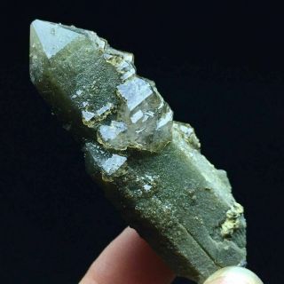 26g Natural Deep Green Skeletal Elestial Quartz Crystal Cluster Mineral Specimen