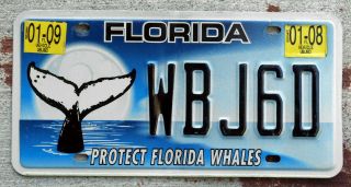 Florida " Protect Florida Whales " License Plate Whale Diving Down Into The Ocean