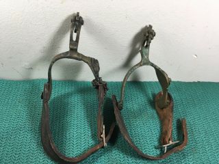 RARE ANTIQUE BRASS HORSE HEAD SPUR ' S WITH LEATHER STAPES 4