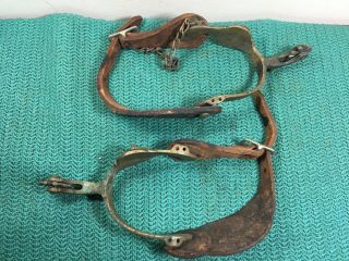 RARE ANTIQUE BRASS HORSE HEAD SPUR ' S WITH LEATHER STAPES 8