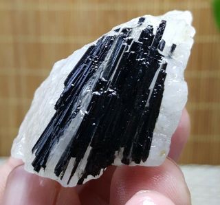 Black Tourmaline Rutilated Uncut Quartz Crystal Mineral Specimen Tibet H2754