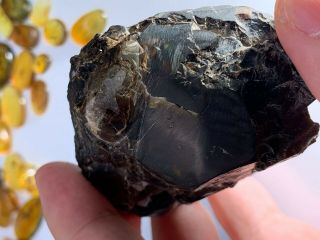 75g Raw Stone Grow In Stone Burmite Myanmar Amber Insect Fossil Dinosaur Age