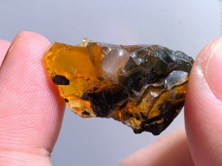 3.  3g Raw Stone With Calcite Burmite Myanmar Amber Insect Fossil Dinosaur Age