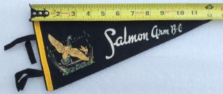 Salmon Arm Bc British Columbia Vintage 1950’s 12” Felt Pennant W Mallard Scene