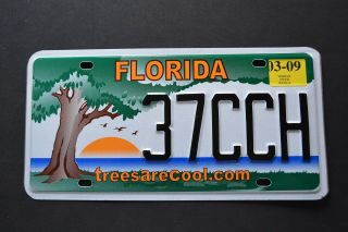 Florida " Trees Are Cool " Rare " Fl Specialty Graphic License Plate 37cch