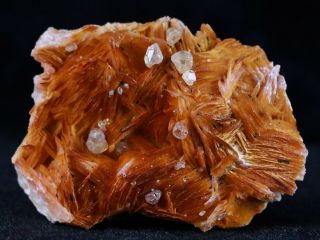 Orange Barite Blades,  Cerussite & Galena Crystal Mineral Specimen Morocco 3.  7 Oz