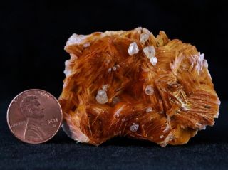 Orange Barite Blades,  Cerussite & Galena Crystal Mineral Specimen Morocco 3.  7 OZ 2