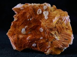 Orange Barite Blades,  Cerussite & Galena Crystal Mineral Specimen Morocco 3.  7 OZ 3