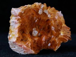 Orange Barite Blades,  Cerussite & Galena Crystal Mineral Specimen Morocco 3.  7 OZ 4
