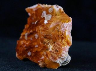Orange Barite Blades,  Cerussite & Galena Crystal Mineral Specimen Morocco 3.  7 OZ 5