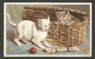 Y76 - Kittens Playing In Basket With Ball And Cracker - Victorian Xmas Card