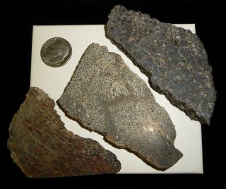 Dino: 3 Faced Fossilized Dinosaur Bone Slabs - 92 G - Lapidary Rough Or Display