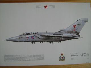 Raf Tornado F3,  23 Squadron Print