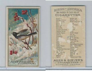 N4 Allen & Ginter,  Birds Of America,  1888,  Snow Bird