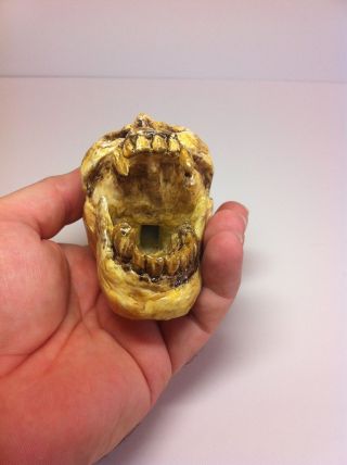 Aztec Death Whistle - The Skull - Imitates human screams very LOUD 5