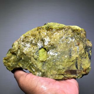 Solid Green Dendretic Agatized Opal Rough - 4 Lbs From - Africa