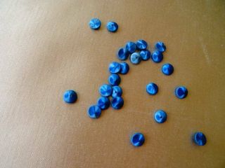 24 Stunning Tiny Silk French Electric Blue Buttons C.  1900 3