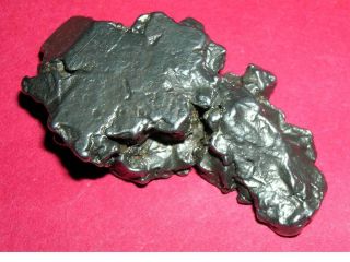 Campo Del Cielo Meteorite Crystal - 41.  5 Grams