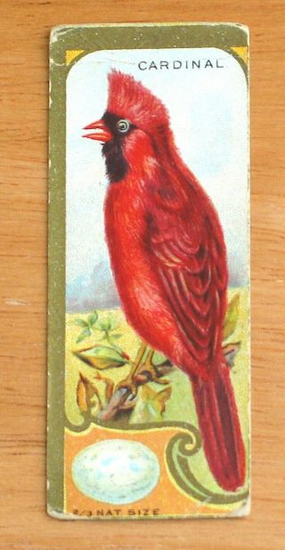 E225 Sen Sen Chiclet Gum - Bird Studies - (2 cards) Cardinal & Purple Finch - G 2